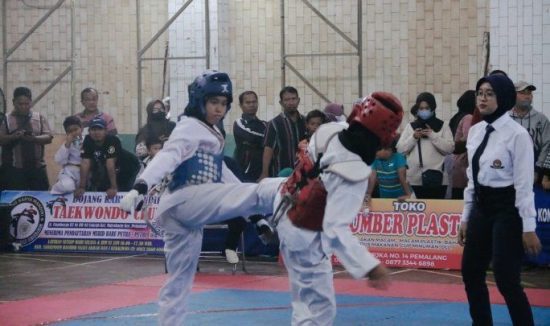 Kejuaraan Kabupaten Taekwondo Cup